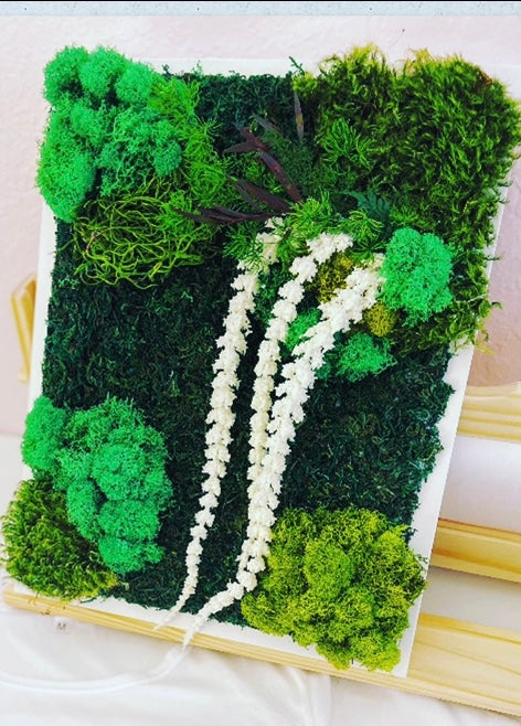 Live Mood Moss Wall Art in White, 12x 12