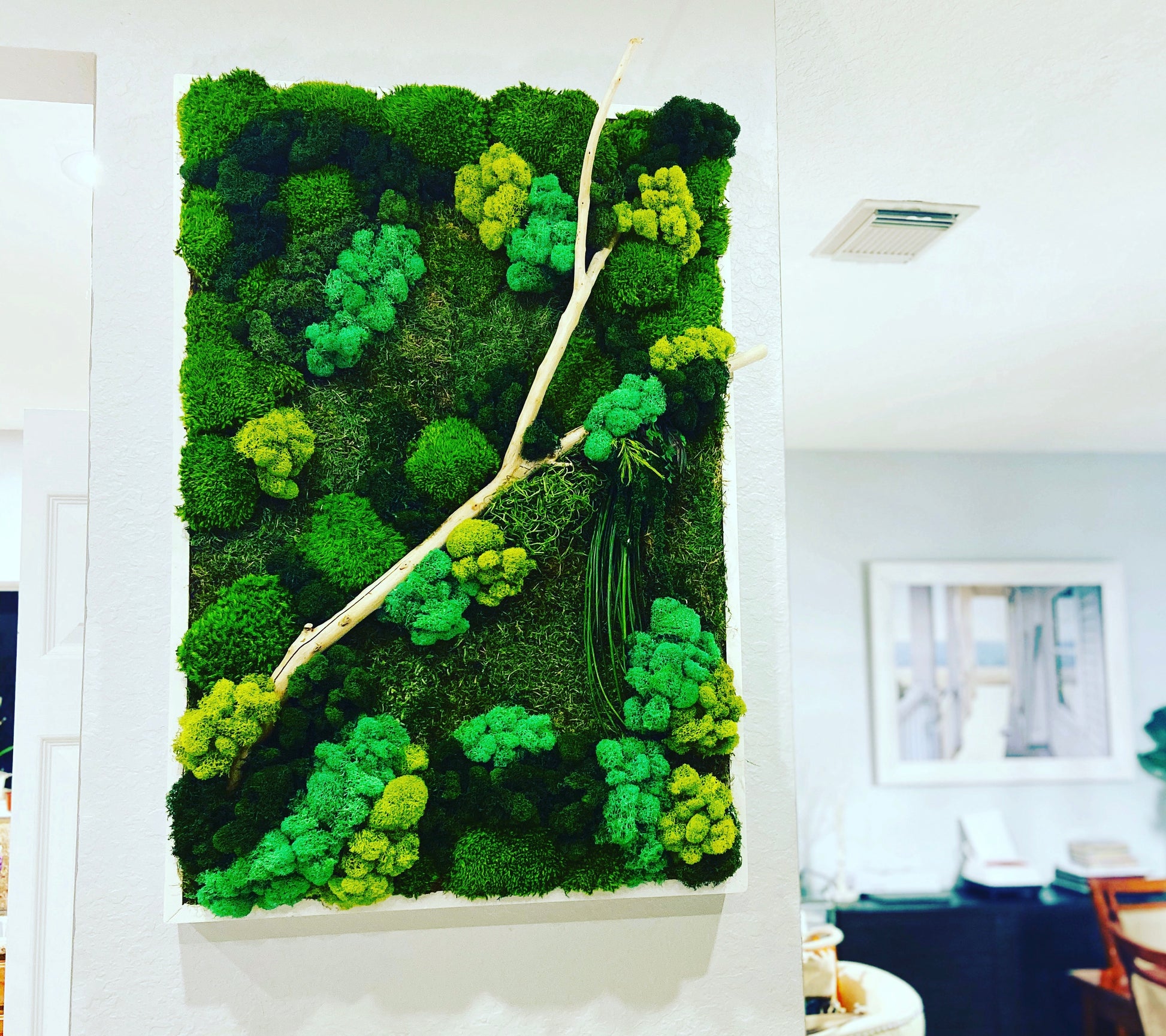 Preserved Moss Wall Art  Real, Live Moss Wall Art and Decor