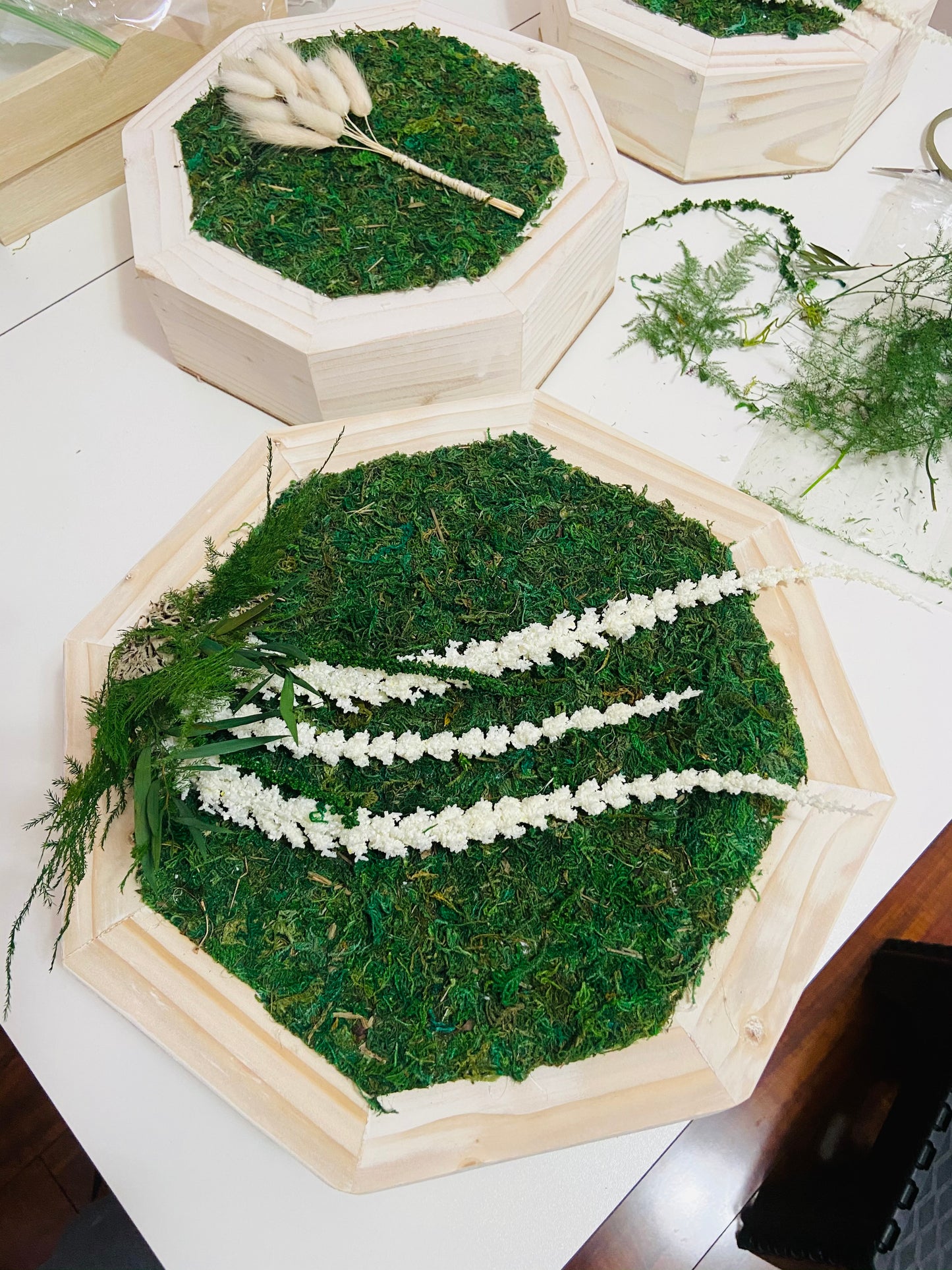 Chunky Octagon Moss Living Moss Art Set
